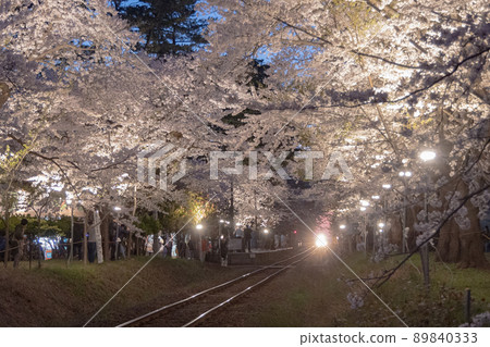 照明櫻花隧道和運行 Meros(青森縣) 照明櫻花隧道和運行 Meros(青森縣) 89840333