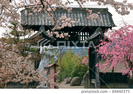 山梨縣南阿爾卑斯市上一之瀨，櫻花名勝，高峰山妙良寺，山門和櫻花 89840375