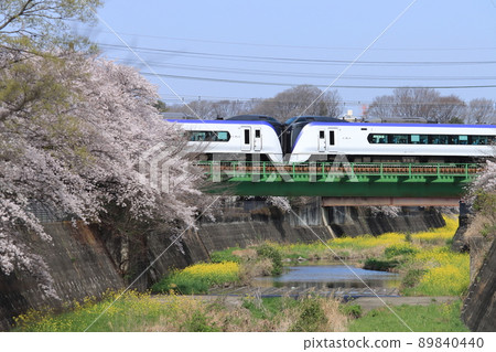 E353系列列車穿越櫻花盛開的山堀川_2022/4/2拍攝 E353系列列車穿越櫻花盛開的山堀川_2022/4/2拍攝 89840440
