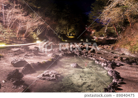 草津西之河原公園的燈飾 草津西之河原公園的燈飾 89840475