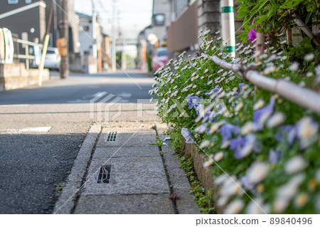 Flowerbeds along the living road / Soka City, Saitama Prefecture 89840496