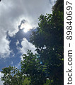 Light shining through the fresh green and clouds 89840697