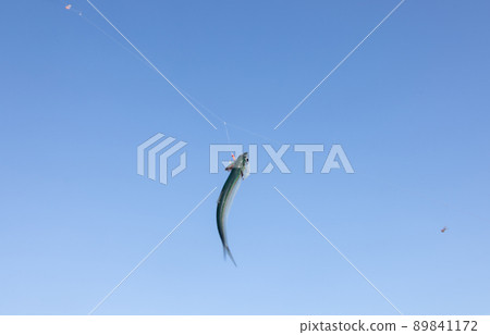 Anchovy on the gimmick Anchovy on the gimmick 89841172