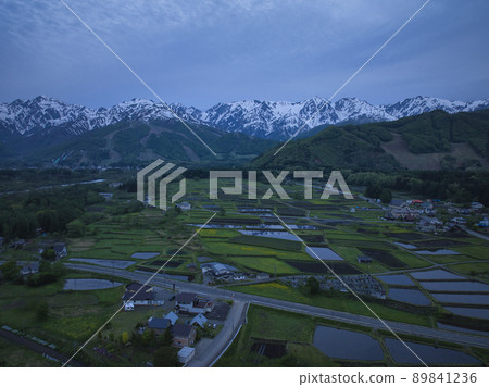 長野縣白馬村的稻田反射日出前的白馬山脈（無人機鳥瞰圖） 89841236