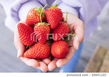 A lot of fresh strawberries in your hands A lot of fresh strawberries in your hands 89841285