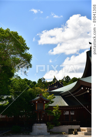 From Kashihara Jingu 89841308