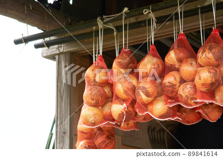 Onions hung in the net for long-term storage Onions hung in the net for long-term storage 89841614