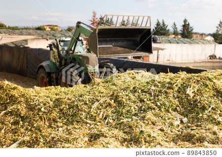 Agricultural machinery preparing fodder Agricultural machinery preparing fodder 89843850