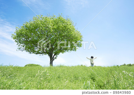 Children standing in the field 89843980