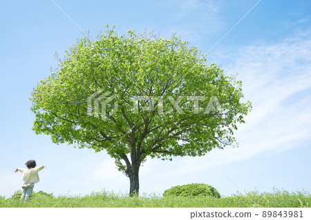 Children standing in the field 89843981