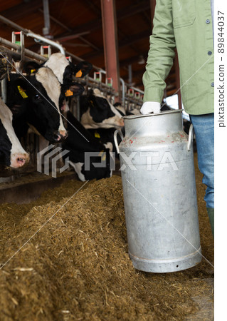 Farmer carrying milk can in cowhouse 89844037