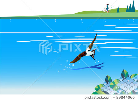 Riverside scenery where swallows fly and hydrangeas bloom Riverside scenery where swallows fly and hydrangeas bloom 89844066