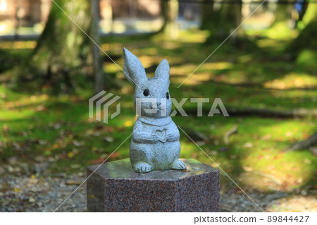Cute rabbit Cute rabbit 89844427