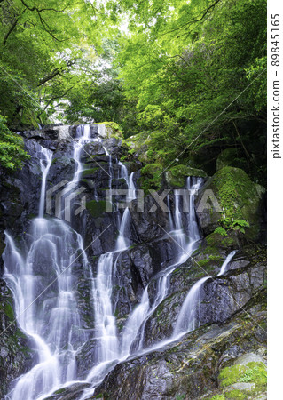 糸島的人氣觀光景點,初夏的綠意盎然的白絲瀑布(福岡縣糸島市) 糸島的人氣觀光景點,初夏的綠意盎然的白絲瀑布(福岡縣糸島市) 89845165