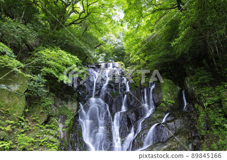 A popular tourist spot in Itoshima, Shiraito Waterfall with beautiful fresh green in early summer (Itoshima City, Fukuoka Prefecture) 89845166