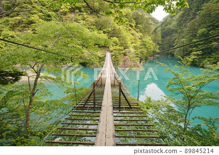 Suspension bridge of a dream Suspension bridge of a dream 89845214