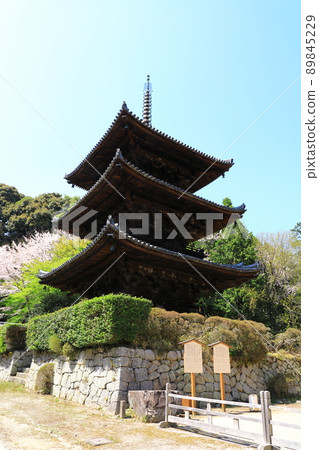 三井寺、三重塔、藍天和盛開的櫻花 三井寺、三重塔、藍天和盛開的櫻花 89845229