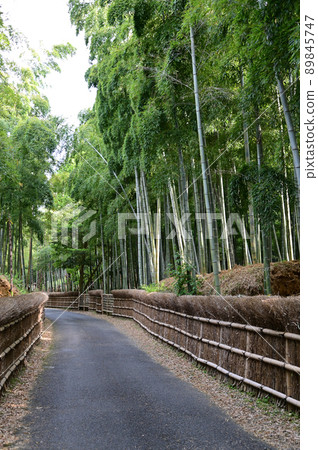 竹籬笆和竹林 竹籬笆和竹林 89845747