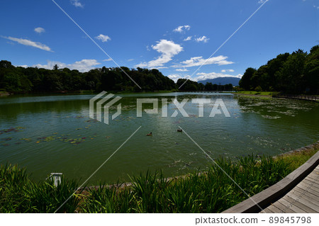 From Kashihara Jingu From Kashihara Jingu 89845798