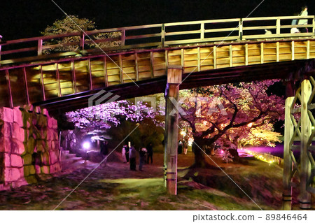 岩國市錦帶橋和櫻花的夜景 89846464