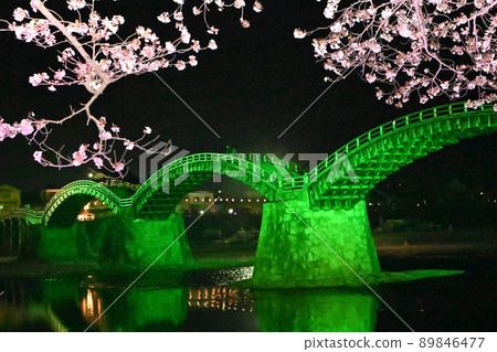岩國市錦帶橋和櫻花的夜景 89846477