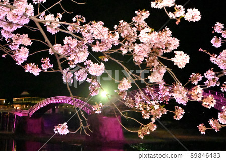 Night view of Kintaikyo Bridge and cherry blossoms in Iwakuni City Night view of Kintaikyo Bridge and cherry blossoms in Iwakuni City 89846483