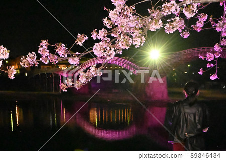 Night view of Kintaikyo Bridge and cherry blossoms in Iwakuni City Night view of Kintaikyo Bridge and cherry blossoms in Iwakuni City 89846484