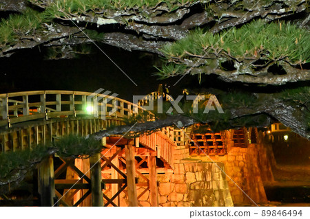 Kintaikyo Bridge, Iwakuni City and Yarikokashi Pine Kintaikyo Bridge, Iwakuni City and Yarikokashi Pine 89846494