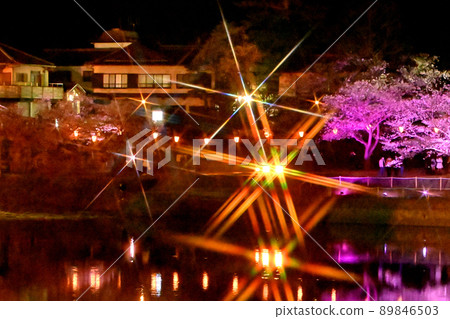 岩國市錦帶橋和櫻花的夜景 岩國市錦帶橋和櫻花的夜景 89846503
