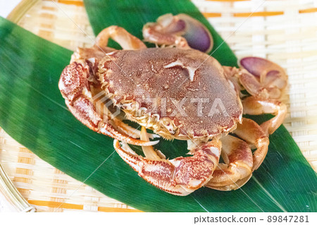 Fresh ovalipes punctatus 89847281