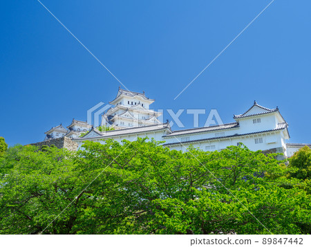 Hyogo_Fresh green world heritage Himeji Castle 89847442