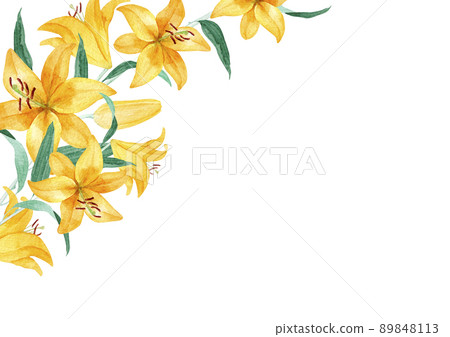 尤里百合水彩插圖夏季花卉背景框架 89848113