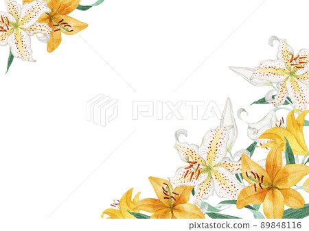 百合和金線百合的水彩插圖夏季花卉背景框架 89848116