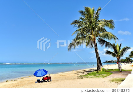 夏威夷的假期 89848275