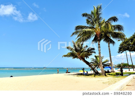 Holidays in Hawaii 89848280