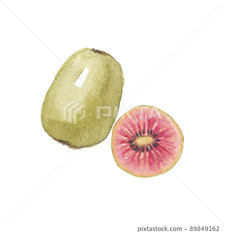 紅色獼猴桃和橫截面 紅色獼猴桃和橫截面 89849162
