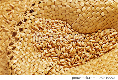 Uncooked spelt grains Uncooked spelt grains 89849998