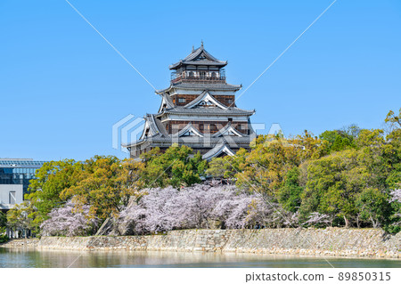 Hiroshima City, Hiroshima Prefecture Cherry blossoms in full bloom and clear sky Hiroshima Castle castle tower Hiroshima City, Hiroshima Prefecture Cherry blossoms in full bloom and clear sky Hiroshima Castle castle tower 89850315