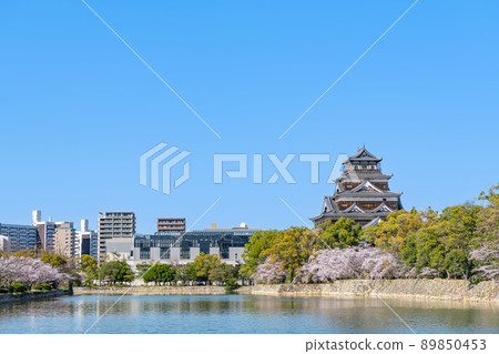 Hiroshima City, Hiroshima Prefecture Cherry blossoms in full bloom and Hiroshima Castle (cityscape around Hiroshima Castle) Hiroshima City, Hiroshima Prefecture Cherry blossoms in full bloom and Hiroshima Castle (cityscape around Hiroshima Castle) 89850453