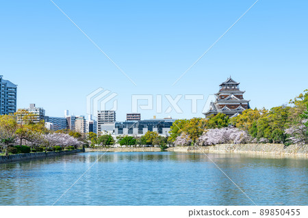 廣島縣廣島市 盛開的櫻花和廣島城(廣島城周圍的城市景觀) 廣島縣廣島市 盛開的櫻花和廣島城(廣島城周圍的城市景觀) 89850455