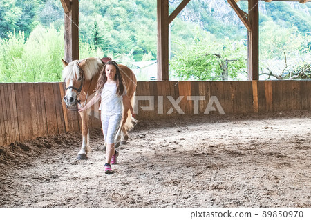 Little girl with a horse 89850970