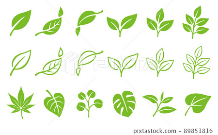Leaf leaf icon illustration set Leaf leaf icon illustration set 89851816