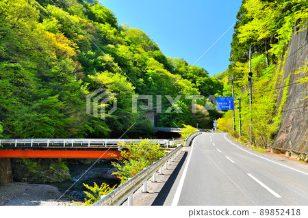 上野村的風景（群馬縣上野村）[2022.5] 89852418