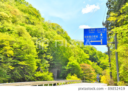 Scenery of Ueno Village (Ueno Village, Gunma Prefecture) [2022.5] 89852419