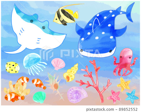 海洋生物手繪水彩插圖集 89852552