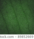 tropical leaves, abstract green leaves texture, nature background. Close-up tree leaf background. Natural background. Macro leaf 89852669