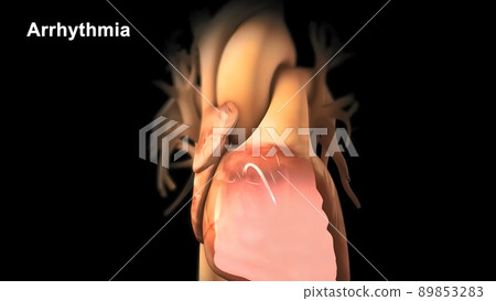 Cardiac Conduction System 3d medical 89853283