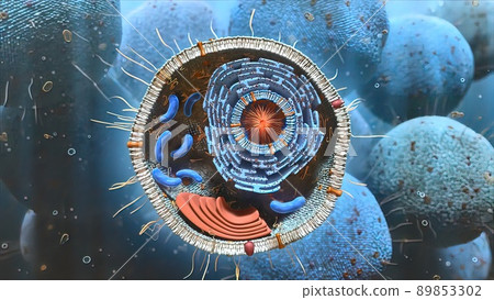 Cell structure and components, mitochondria, nucleus and cytoplasm 89853302