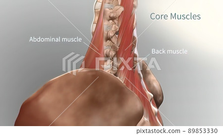 Chronic Low Back Pain. showing pain in the lower back Chronic Low Back Pain. showing pain in the lower back 89853330