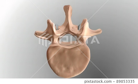 Chronic Low Back Pain. showing pain in the lower back 89853335